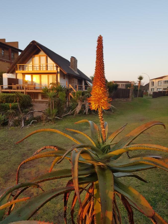 Dreamland Beach House & Studios At Supertubes Jeffreys Bay Exterior photo